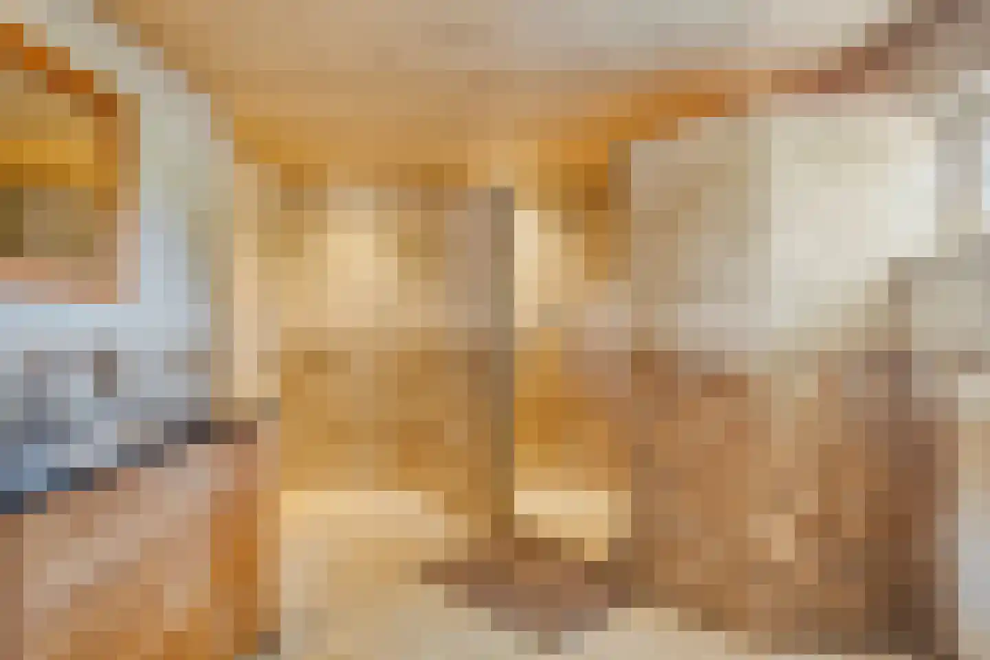 Weverstraat 17 Ossenisse thumbnail 19