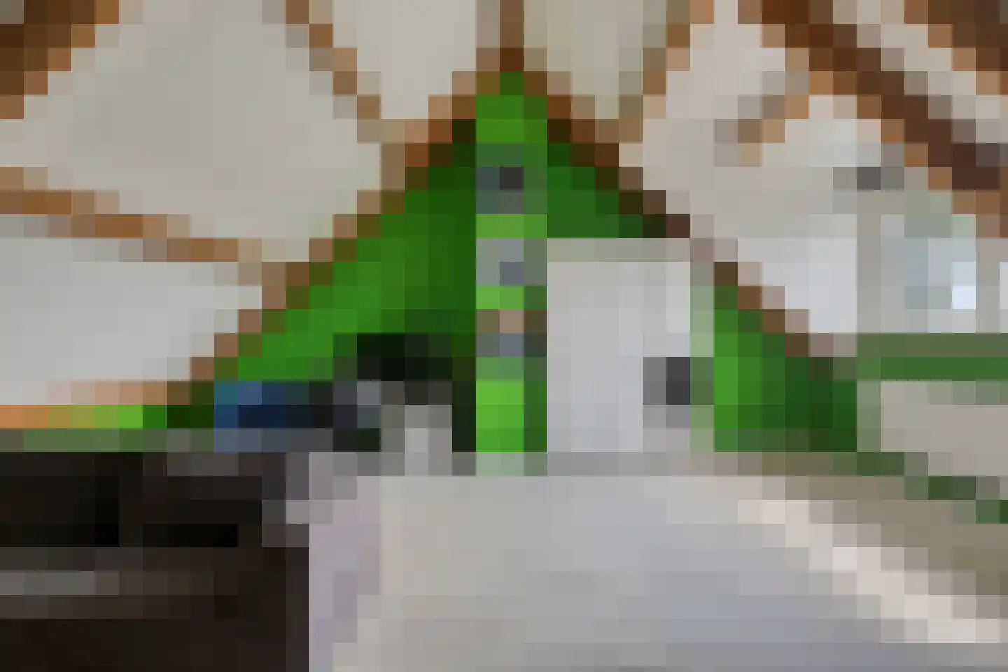 Weverstraat 17 Ossenisse thumbnail 28