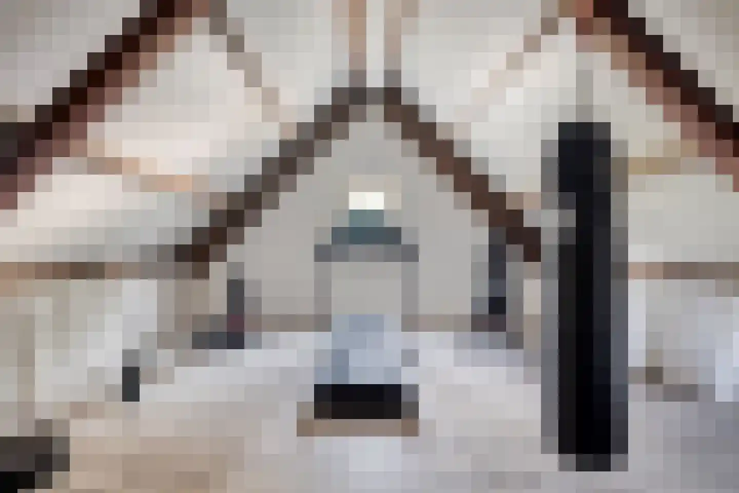 Weverstraat 17 Ossenisse thumbnail 34