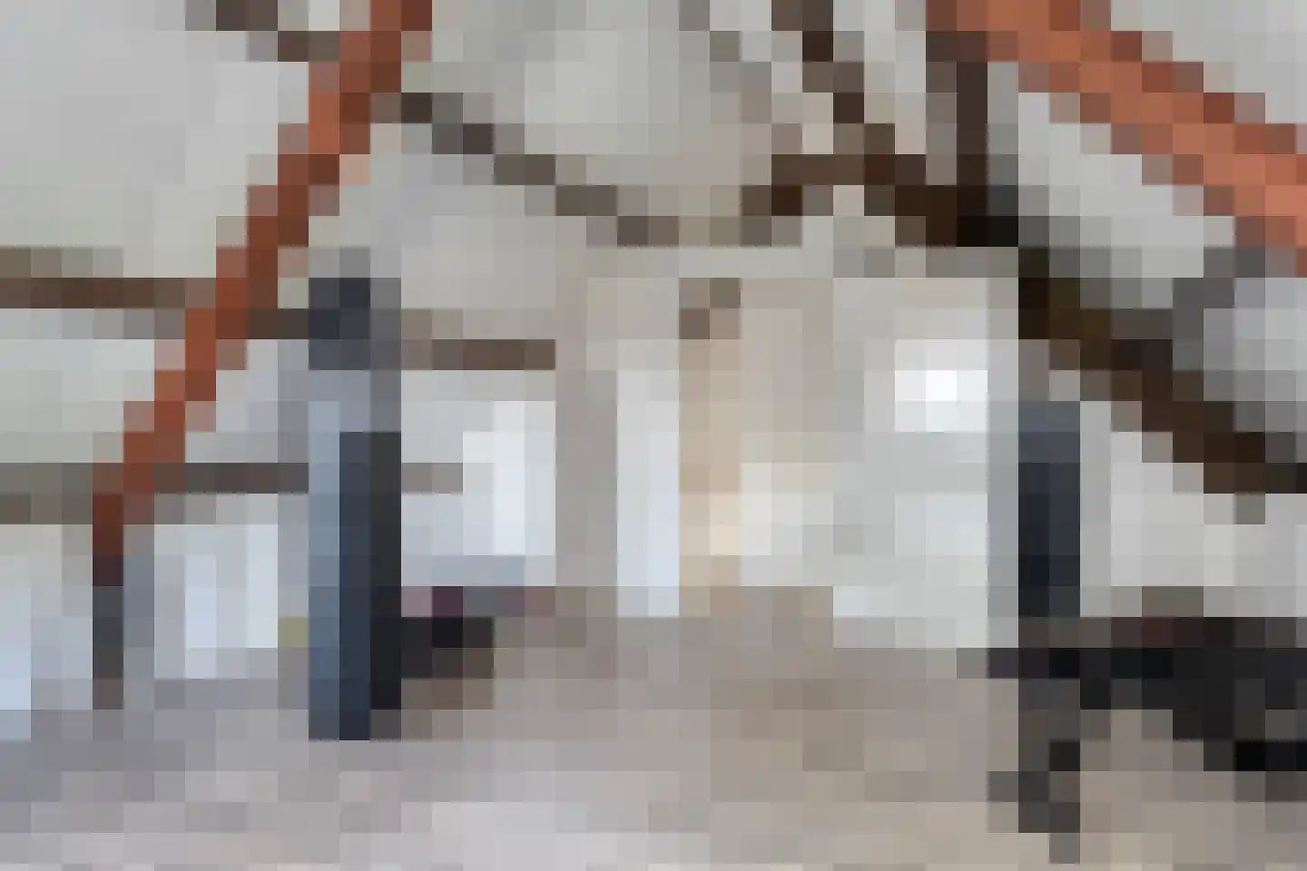 Weverstraat 17 Ossenisse thumbnail 35