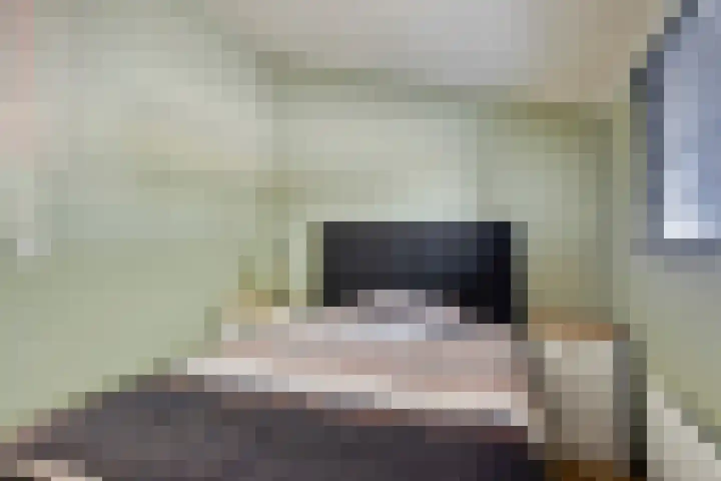 Weverstraat 17 Ossenisse thumbnail 39