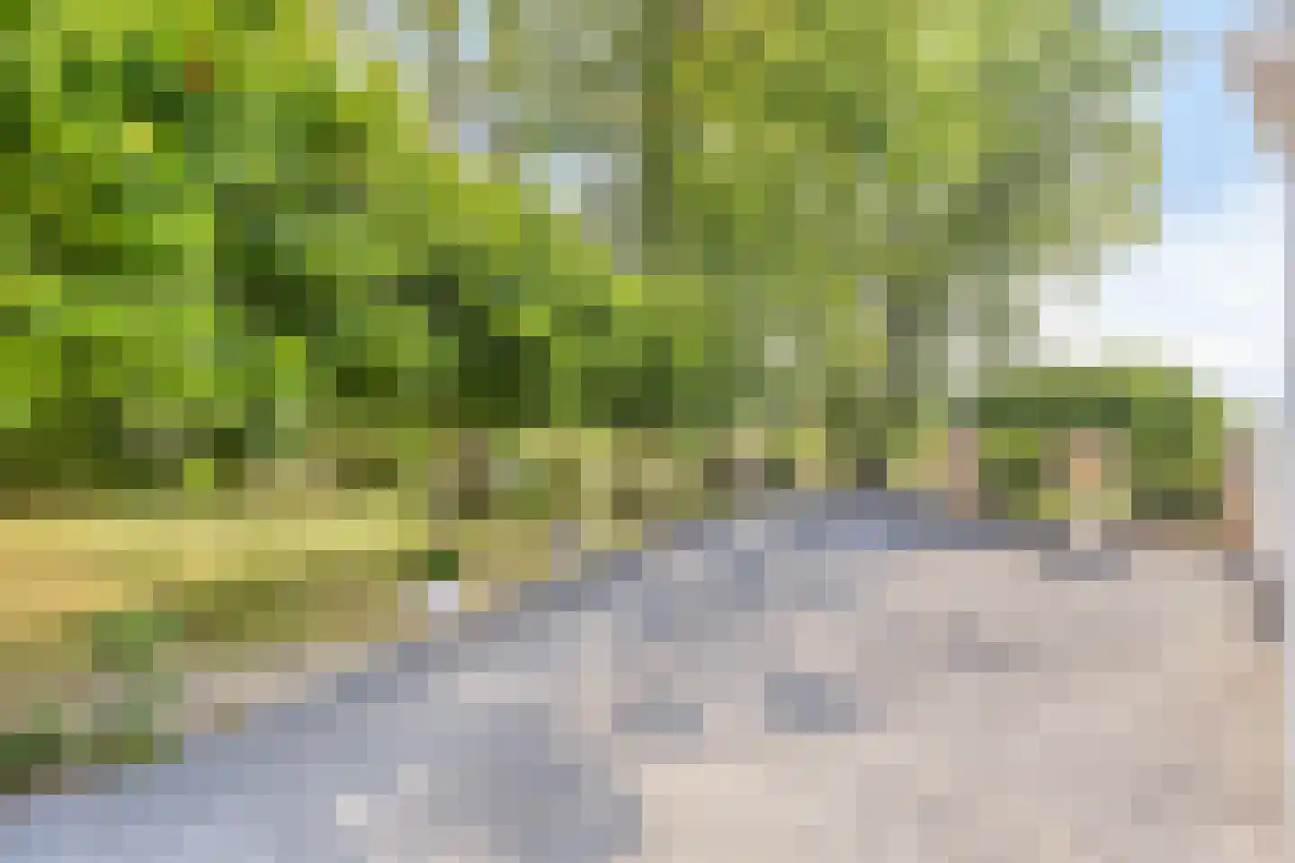 Weverstraat 17 Ossenisse thumbnail 44