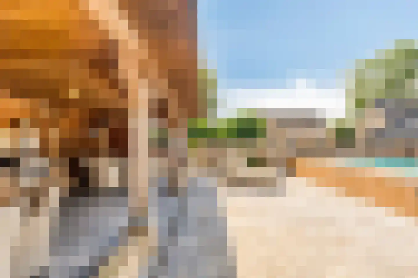 Weverstraat 17 Ossenisse thumbnail 63
