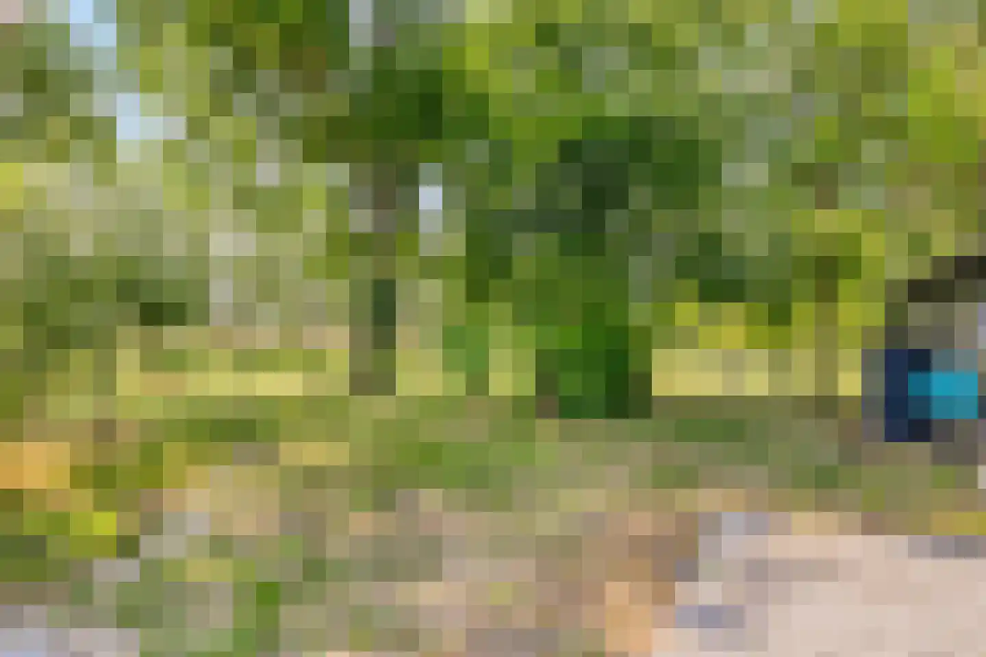 Weverstraat 17 Ossenisse thumbnail 66