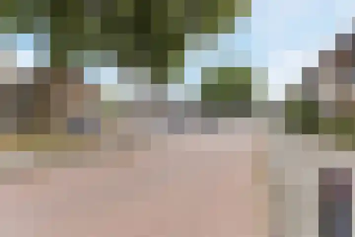 Weverstraat 2 Geldrop thumbnail 41