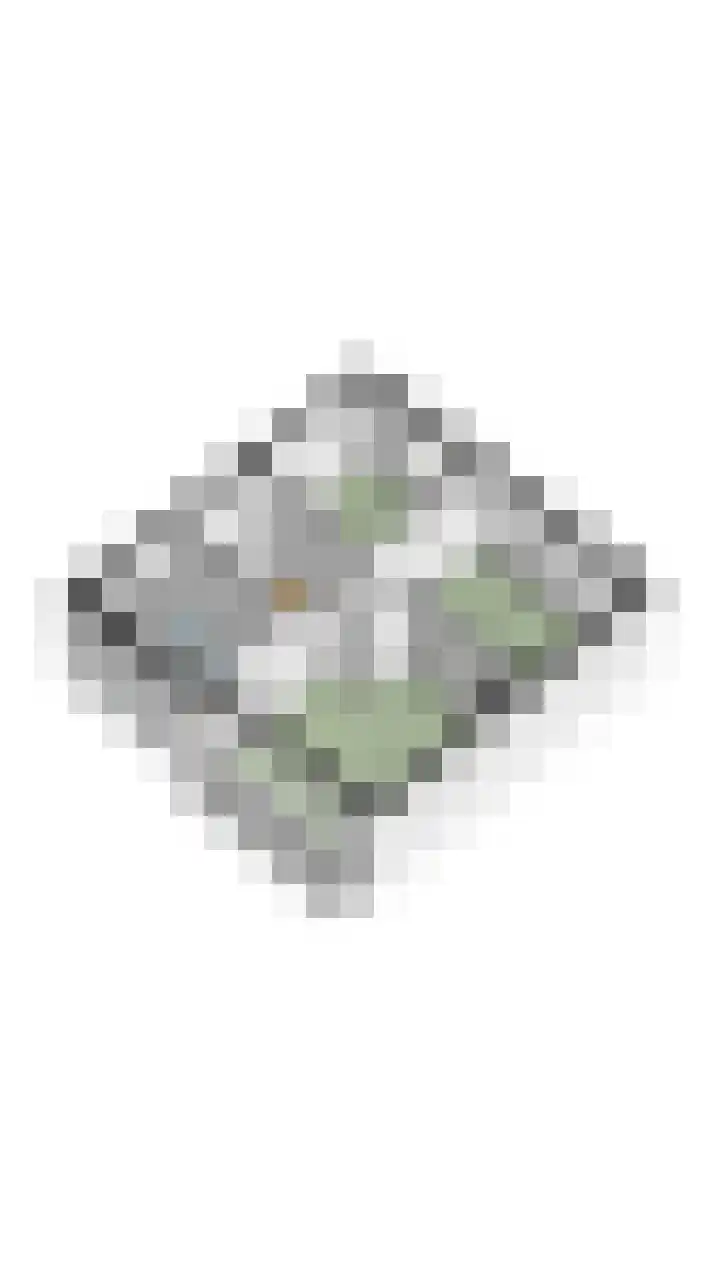 Weverstraat 2 Geldrop thumbnail 49