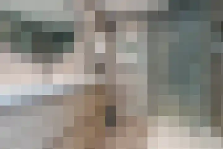 Weverstraat 29 Wormerveer thumbnail 4