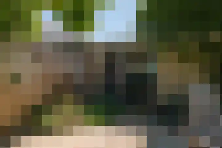 Weverstraat 37 Overdinkel thumbnail 31