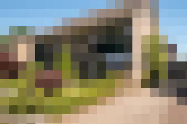 Weverstraat 37 Overdinkel thumbnail 33