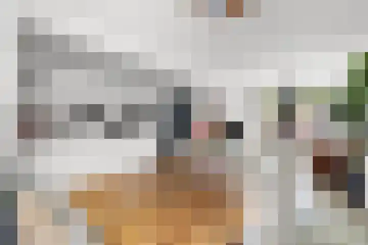 Weverstraat 5 Eindhoven thumbnail 22