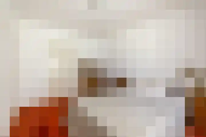 Weverstraat 5 Eindhoven thumbnail 24