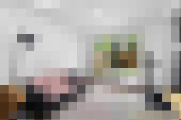 Weverstraat 5 Eindhoven thumbnail 24