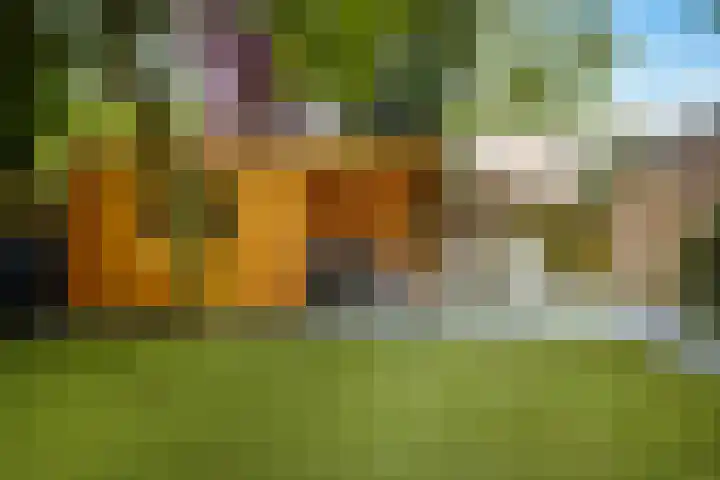 Weverstraat 5 Eindhoven thumbnail 34