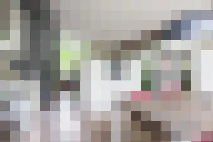 Weverstraat 5 Eindhoven thumbnail 41