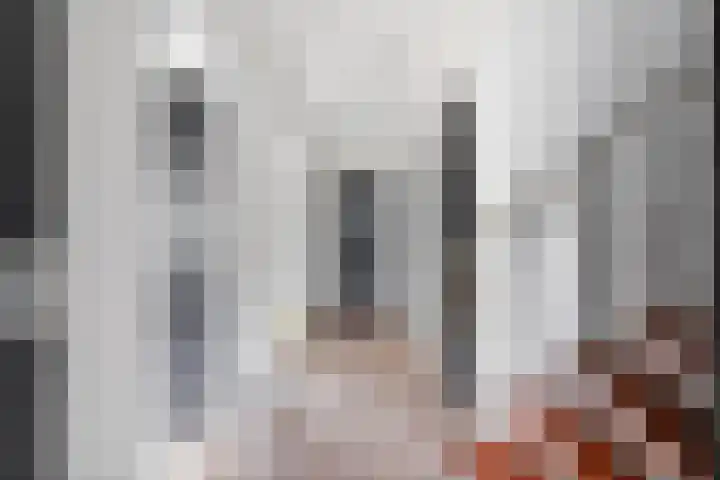 Weverstraat 5 Eindhoven thumbnail 58