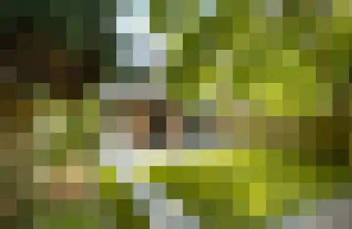 Weverstraat 5 Eindhoven thumbnail 7