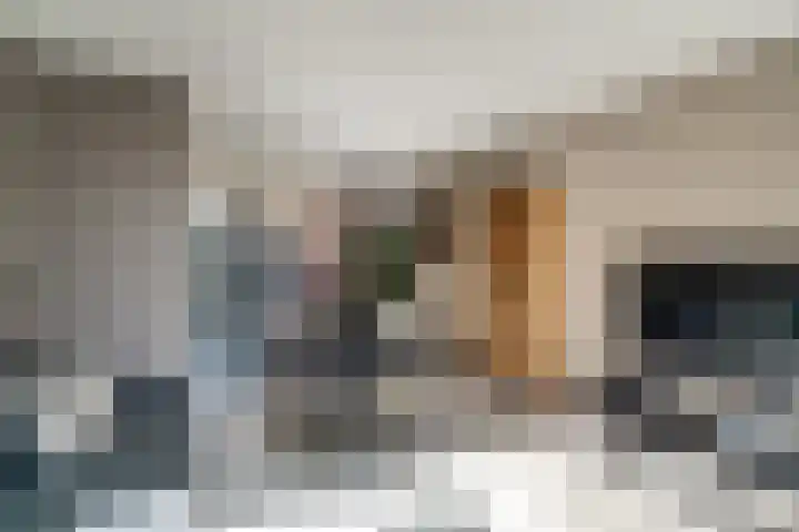 Weverstraat 50 Duiven thumbnail 21