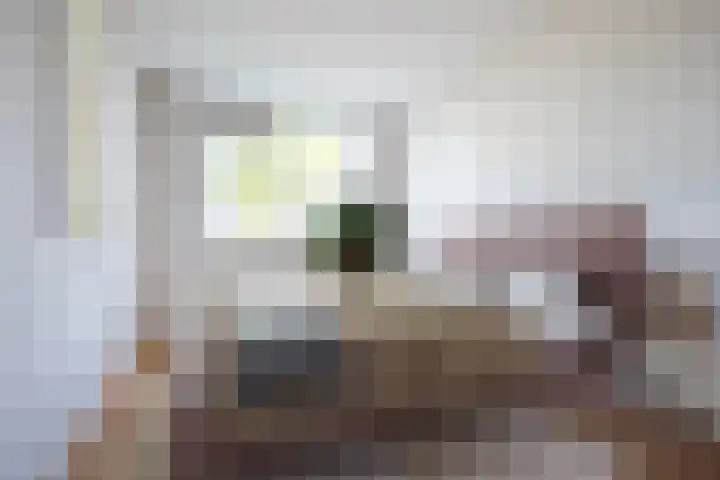 Weverstraat 799 Gorinchem thumbnail 5