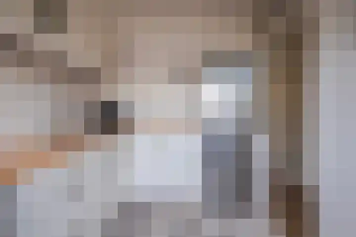 Weverstraat 81 Duiven thumbnail 11