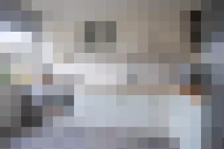 Weverstraat 81 Duiven thumbnail 12
