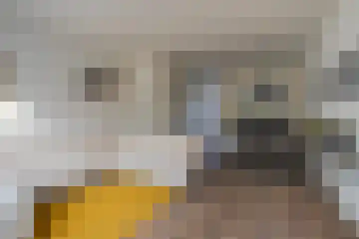Weverstraat 81 Duiven thumbnail 19