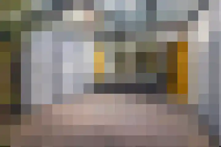 Weverstraat 81 Duiven thumbnail 20