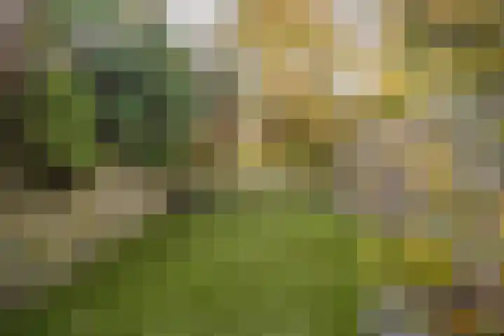 Weverstraat 81 Duiven thumbnail 22