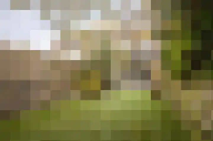 Weverstraat 81 Duiven thumbnail 23
