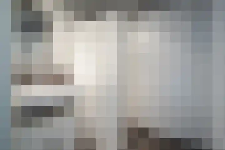 Weverstraat 81 Duiven thumbnail 30