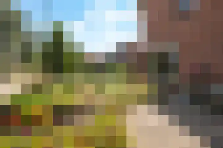 Weversveld 36 Wehl thumbnail 10