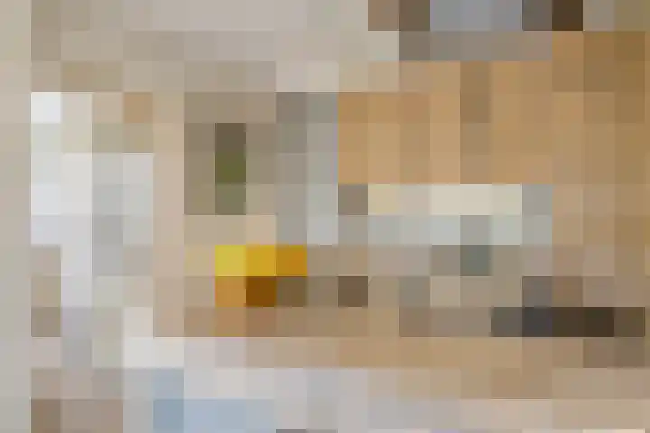 Weversveld 36 Wehl thumbnail 27