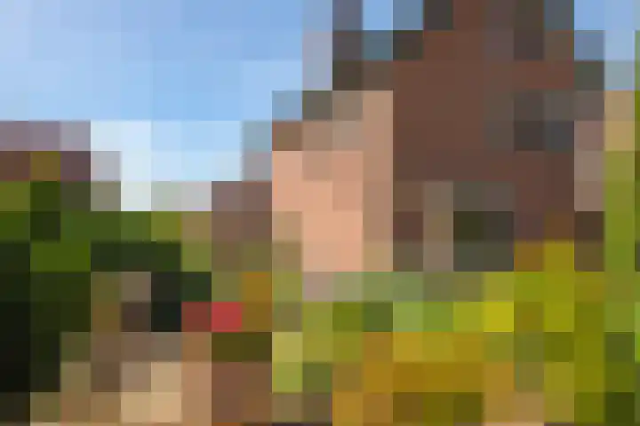 Weversveld 36 Wehl thumbnail 5