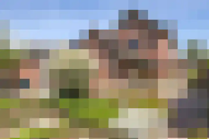 Weversveld 36 Wehl thumbnail 55