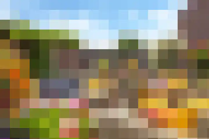 Weversveld 36 Wehl thumbnail 59
