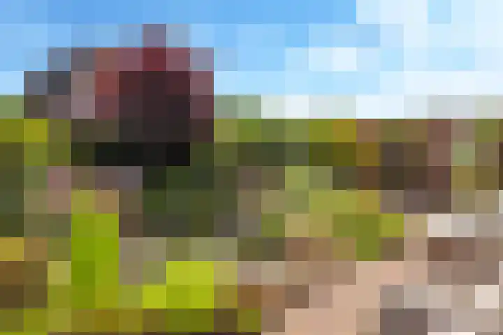 Weversveld 36 Wehl thumbnail 6