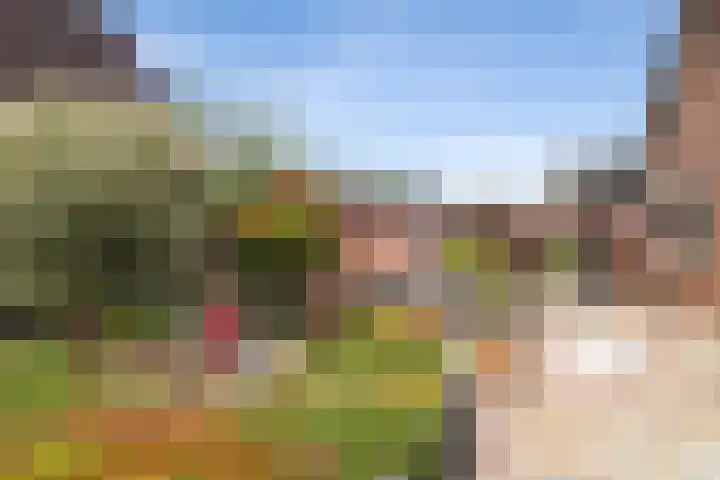 Weversveld 36 Wehl thumbnail 61