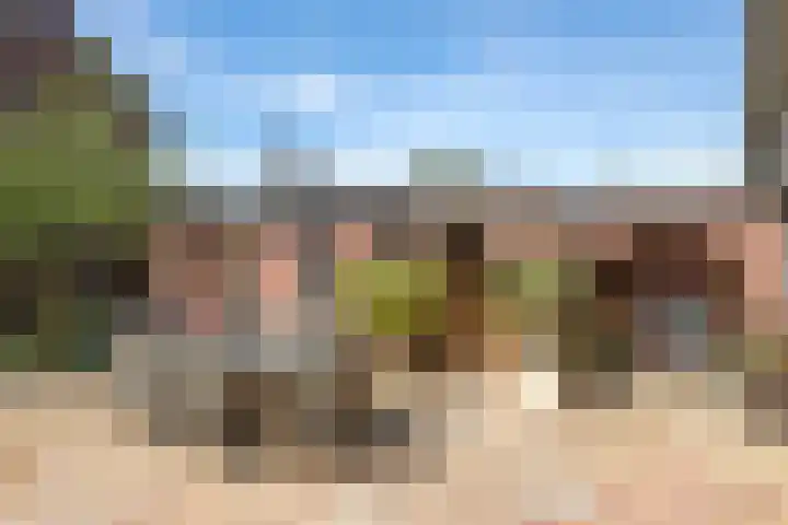 Weversveld 36 Wehl thumbnail 62
