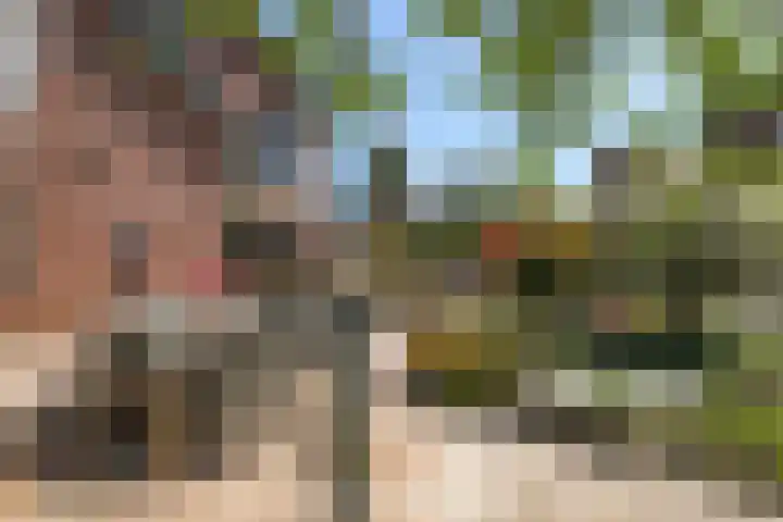 Weversveld 36 Wehl thumbnail 64