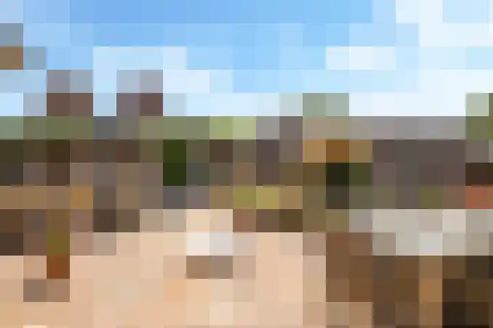 Weversveld 36 Wehl thumbnail 65