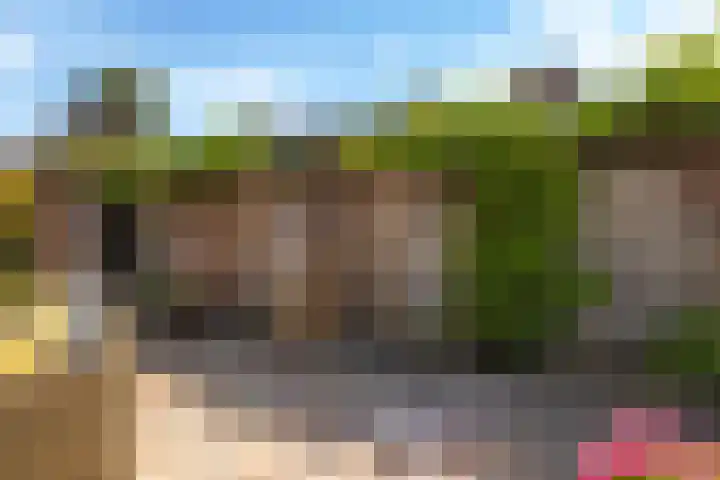 Weversveld 36 Wehl thumbnail 66