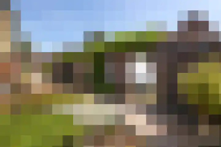 Weversveld 36 Wehl thumbnail 67