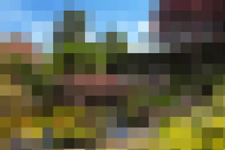 Weversveld 36 Wehl thumbnail 7