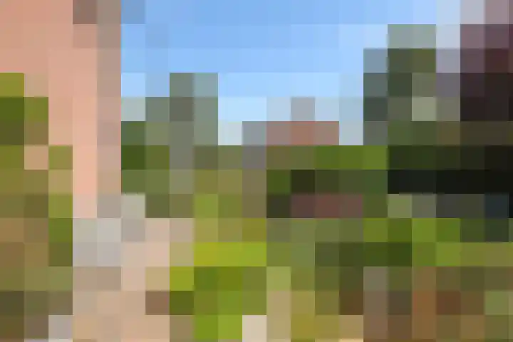 Weversveld 36 Wehl thumbnail 8