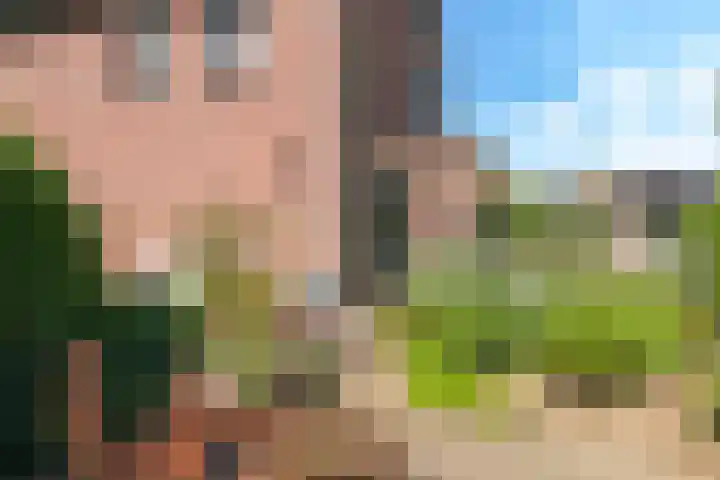 Weversveld 36 Wehl thumbnail 9