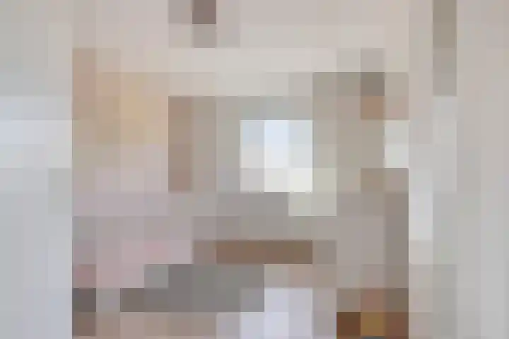 Weversveld 66 Wehl thumbnail 15
