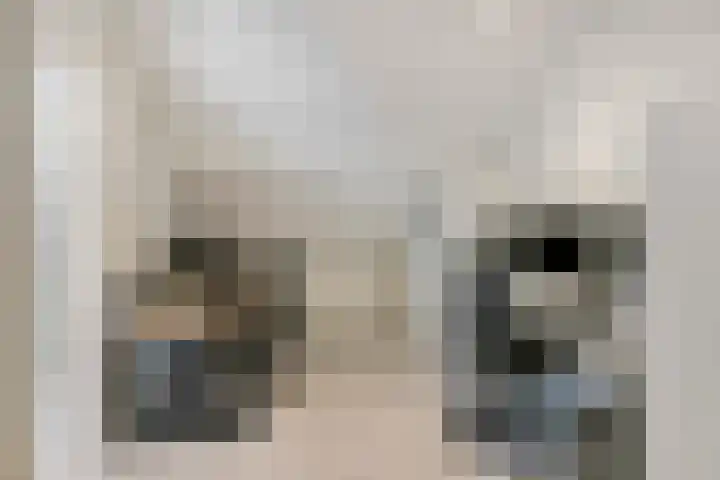 Weversveld 66 Wehl thumbnail 22