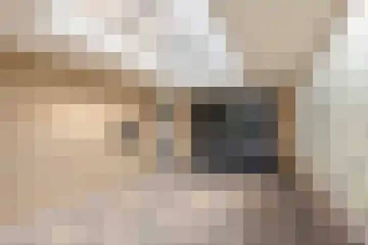 Weversveld 66 Wehl thumbnail 28