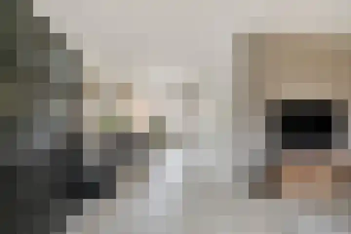 Weversveld 66 Wehl thumbnail 6