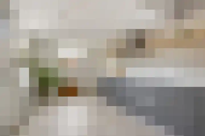 Weversveld 66 Wehl thumbnail 9