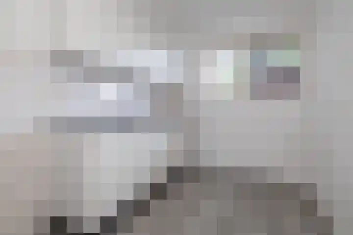 Weversweg 17 Hilversum thumbnail 8